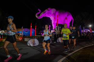 BIB: 
                            <button type="button" onclick="openModal(26552132)" class="btn btn-primary btn-sm float-right btn-popup" data-toggle="modal" data-target=".modal-high-quality">
                        <i class="fas fa-shopping-cart"></i> Add to Cart
                    </button>
                                            <button type="button" onclick="isThisMe(26552132, true)" class="btn btn-success btn-sm float-right btn-popup btn-isme hidden" data-toggle="tooltip" data-placement="bottom" title="นี่คือรูปของคุณใช่ไหม คลิกที่นี่เพื่อเอาเข้าอัลบั้ม">
                        <i class="fas fa-plus"></i> Add to album
                    </button>
                    <button type="button" onclick="isThisMe(26552132, false)" class="btn btn-warning btn-sm float-right btn-popup btn-isnotme hidden">
                        <i class="fas fa-ban"></i> Remove from album
                    </button>